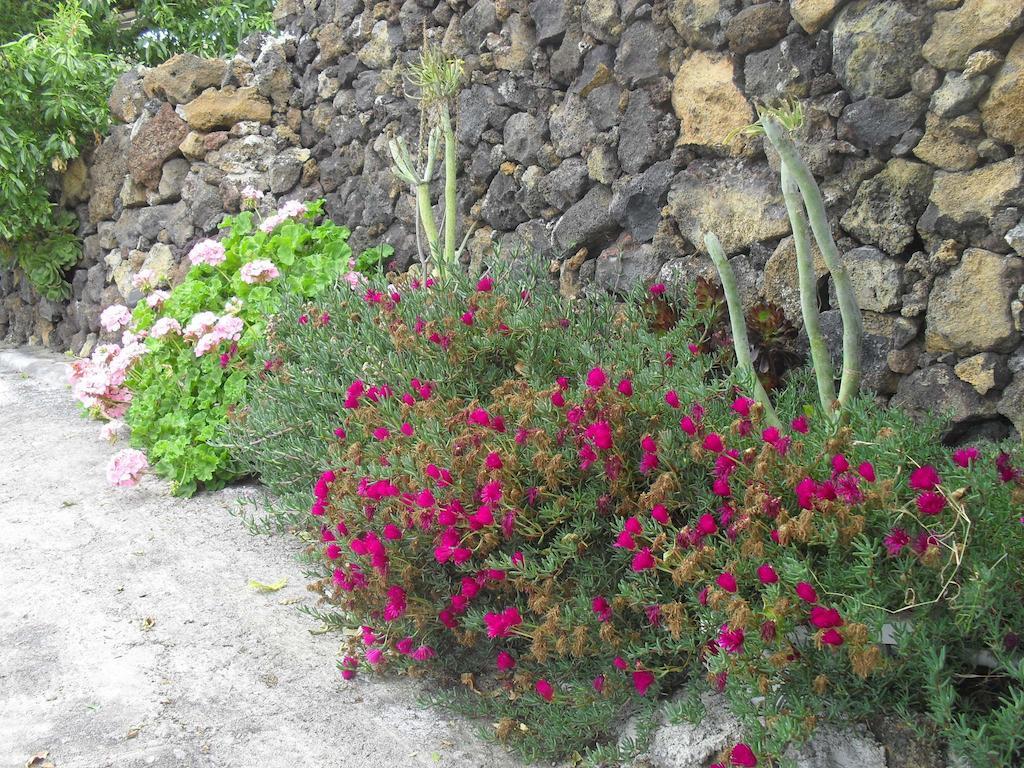 Casa Rural Abuelo Pancho Las Casas  Exterior foto
